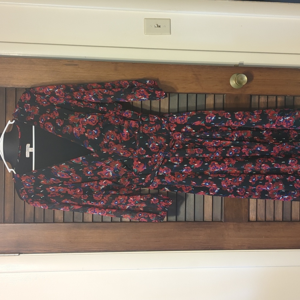 Eva Mendes New York& Company XL rose and black dress